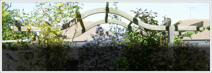arch ideas