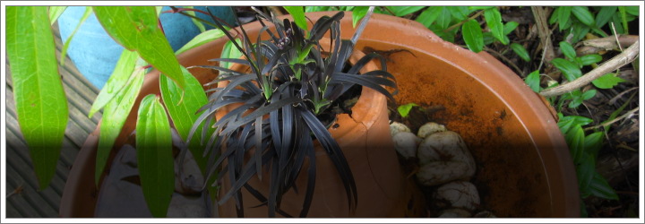 water feature ideas